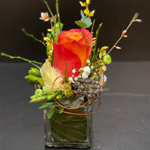 Lade das Bild in den Galerie-Viewer, Kleine Aufmerksamkeit in orange